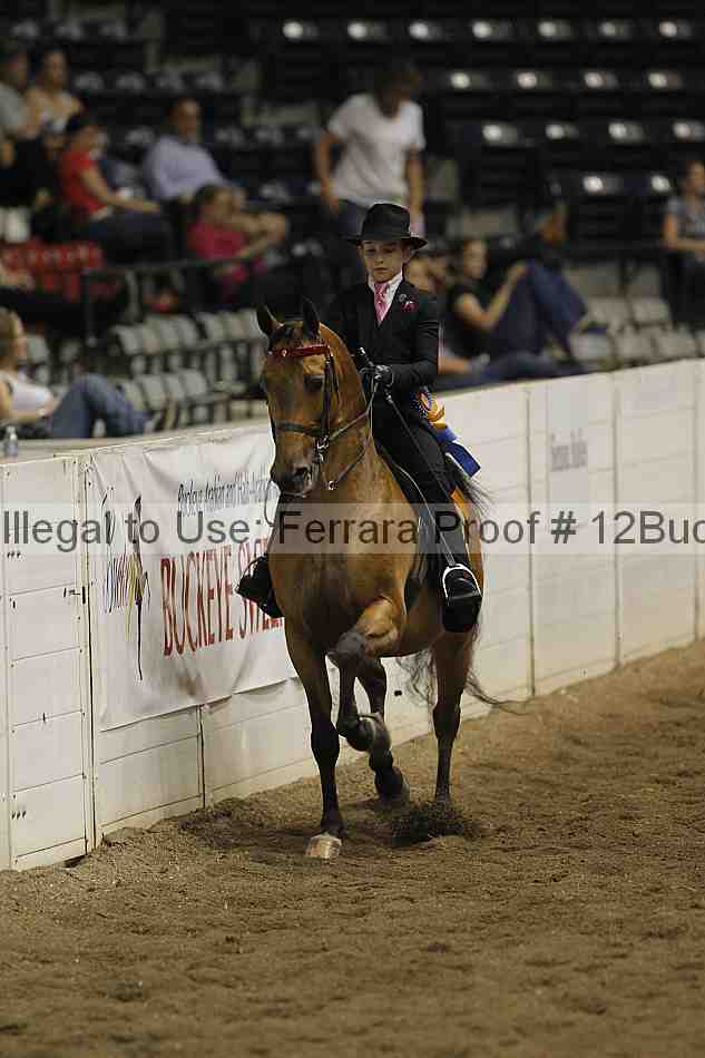 Proof 12buck_3616