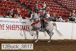 12buck_3617 proof