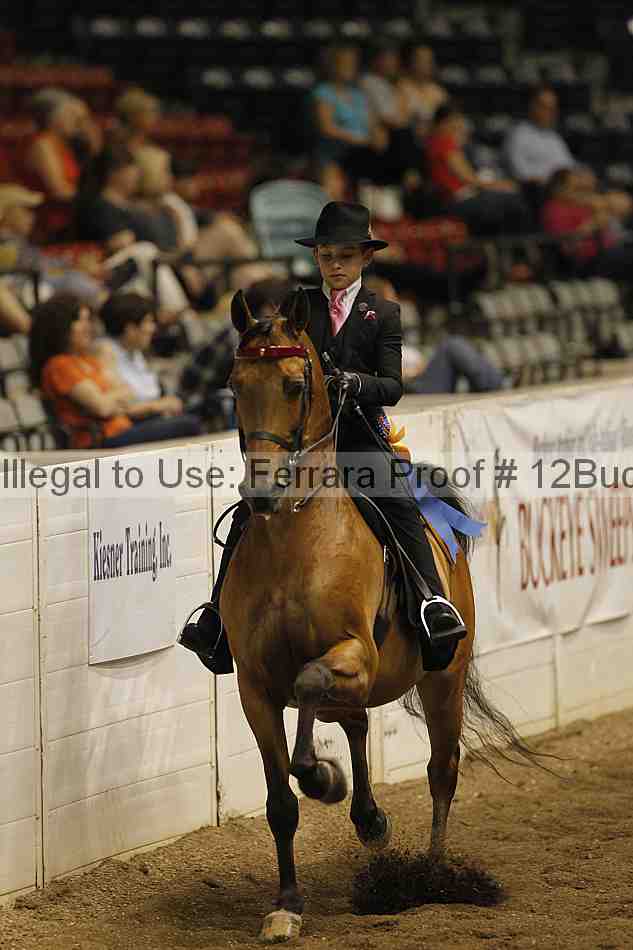 Proof 12buck_3618