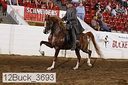 12buck_3693 proof
