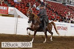 12buck_3697 proof