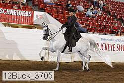 12buck_3705 proof