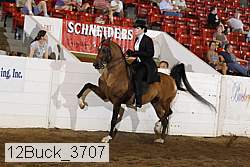 12buck_3707 proof