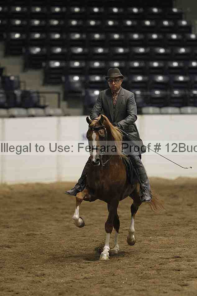 Proof 12buck_3710