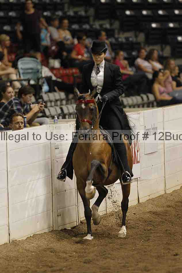 Proof 12buck_3715