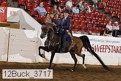 12buck_3717 proof
