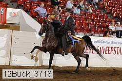 12buck_3718 proof