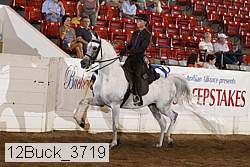 12buck_3719 proof