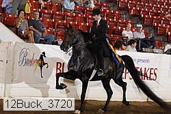 12buck_3720 proof