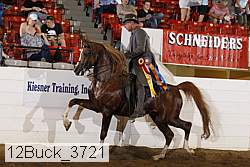 12buck_3721 proof