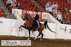 12buck_3727 proof