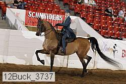 12buck_3737 proof