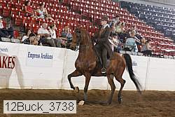 12buck_3738 proof