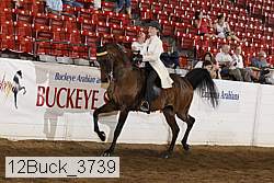 12buck_3739 proof