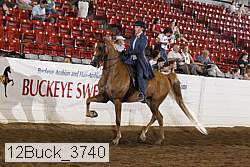 12buck_3740 proof