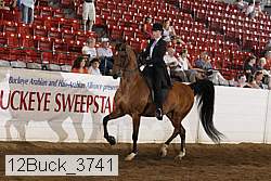 12buck_3741 proof