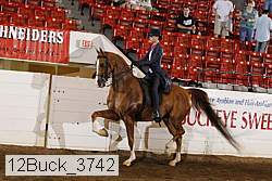 12buck_3742 proof