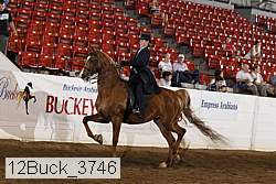 12buck_3746 proof