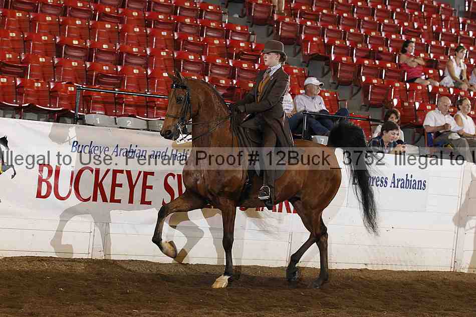 Proof 12buck_3752