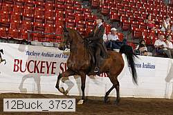 12buck_3752 proof