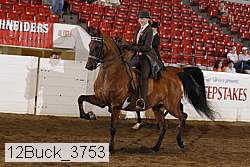 12buck_3753 proof
