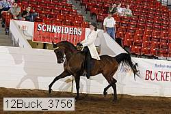 12buck_3756 proof
