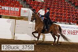 12buck_3758 proof