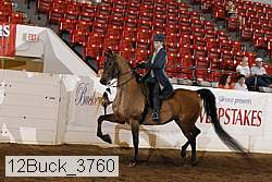 12buck_3760 proof