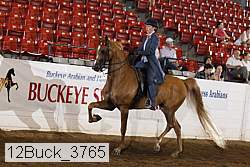 12buck_3765 proof