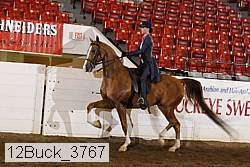 12buck_3767 proof