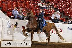 12buck_3772 proof