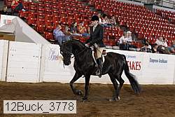 12buck_3778 proof