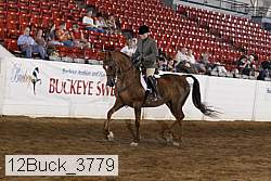 12buck_3779 proof