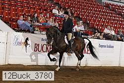12buck_3780 proof
