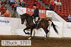 12buck_3781 proof