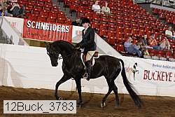 12buck_3783 proof