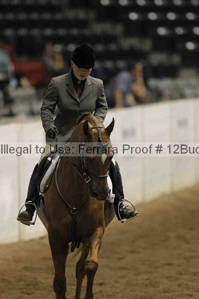 Proof 12buck_3784