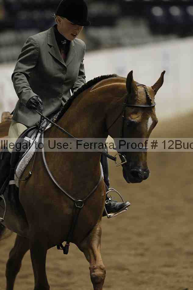 Proof 12buck_3785