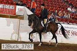 12buck_3787 proof