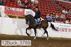12buck_3789 proof