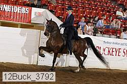 12buck_3792 proof