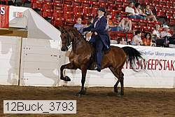 12buck_3793 proof