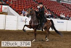 12buck_3794 proof