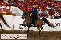12buck_3795 proof
