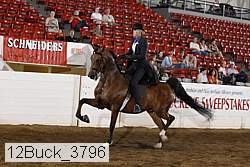 12buck_3796 proof