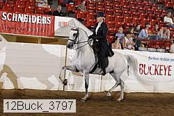12buck_3797 proof