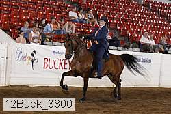 12buck_3800 proof