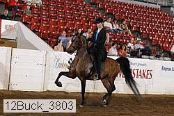 12buck_3803 proof