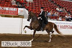 12buck_3806 proof