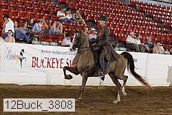 12buck_3808 proof